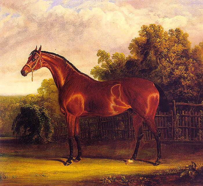 John F Herring Negotiator, the Bay Horse in a Landscape Sweden oil painting art